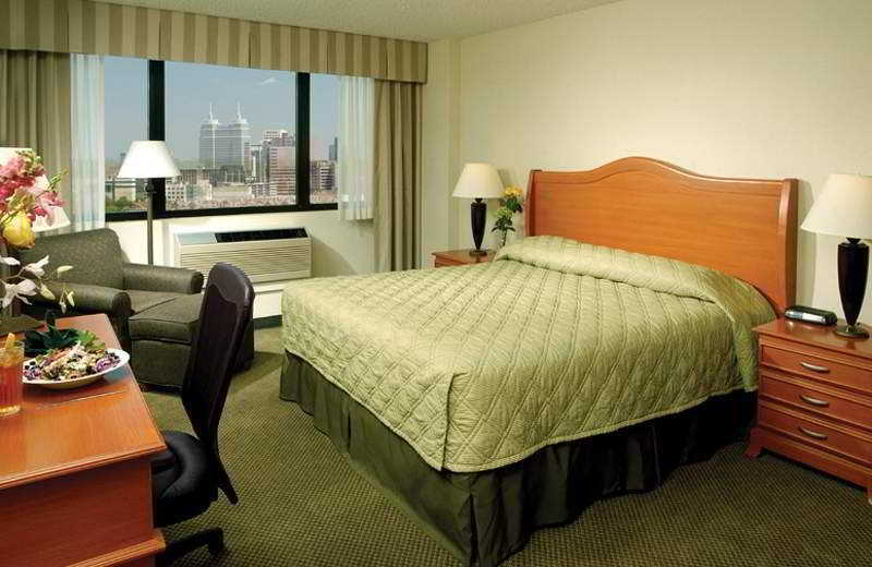 Holiday Inn Houston S - Nrg Area - Med Ctr By Ihg Room photo